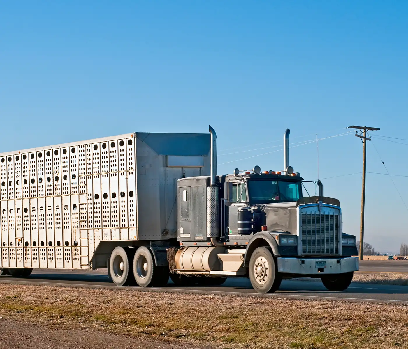 livestock transportation for farmers lincoln illinois